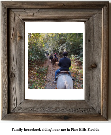 family horseback riding near me in Pine Hills, Florida